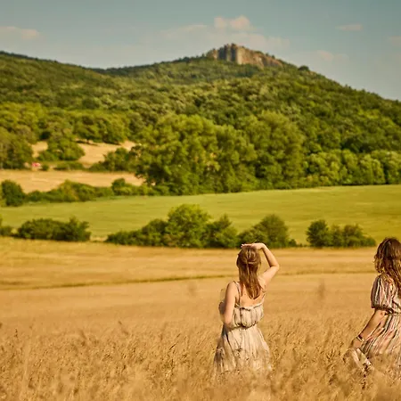 Icce Borbirtok - Wine, Dine & Rest Oda ve Kahvaltı