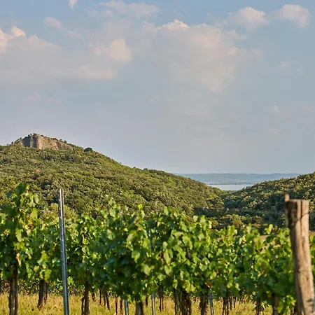 Icce Borbirtok - Wine, Dine & Rest Oda ve Kahvaltı