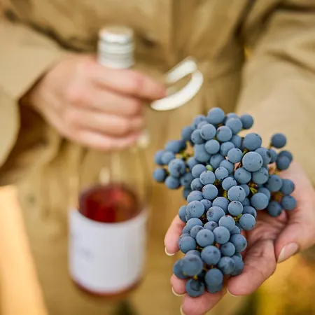 Oda ve Kahvaltı Icce Borbirtok - Wine, Dine & Rest 3*