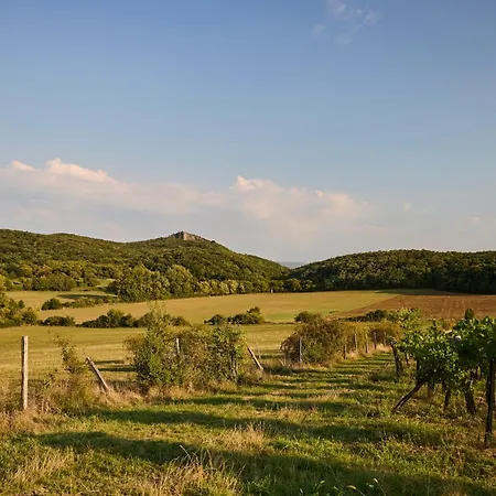 Icce Borbirtok - Wine, Dine & Rest