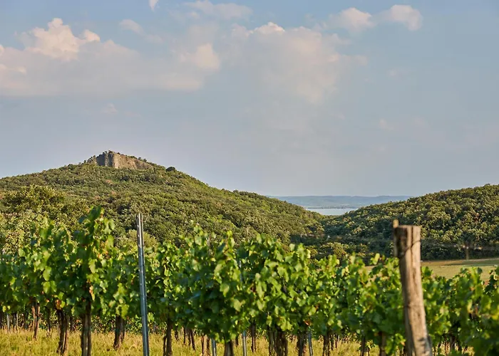Monoslow - Wine, Dine & Rest B&B